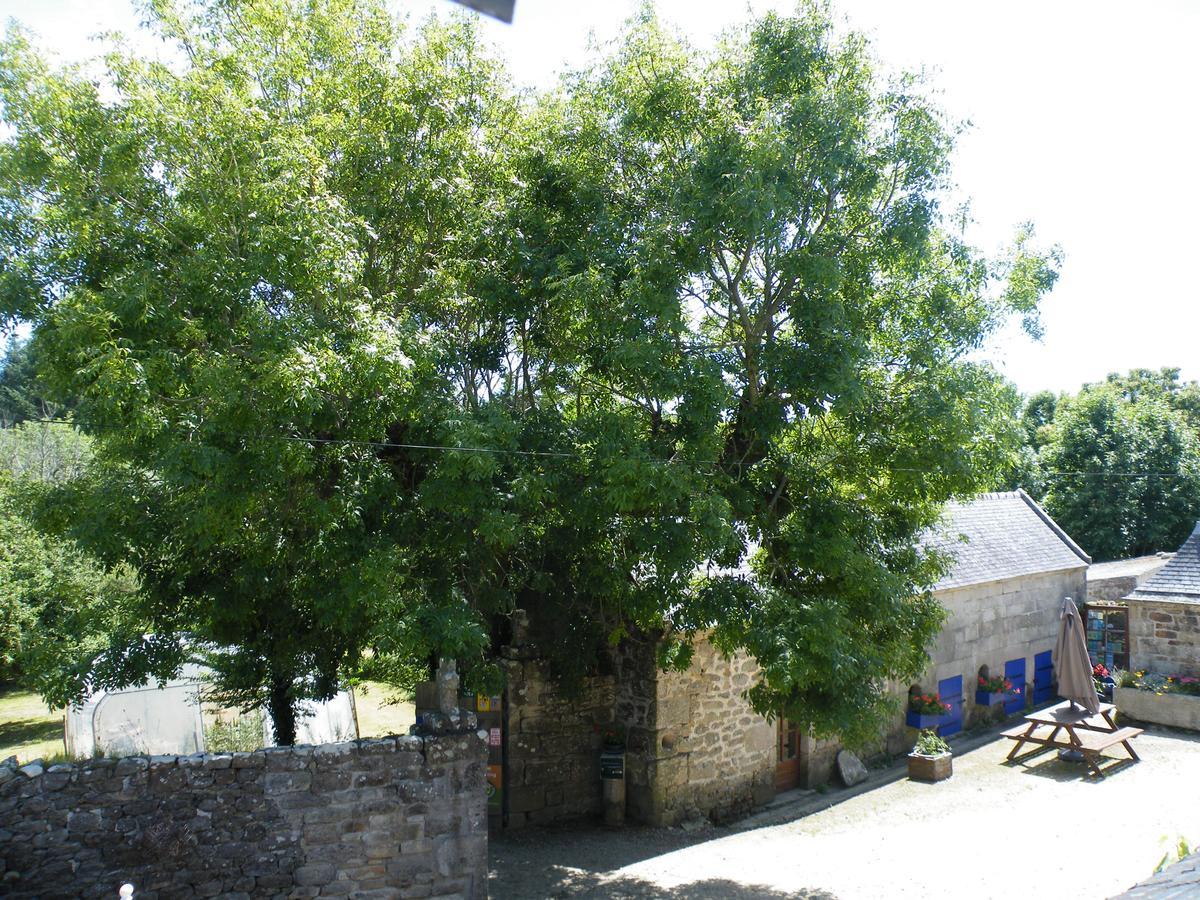 לינה וארוחת בוקר פלוגוף La Ferme Du Bout Du Monde מראה חיצוני תמונה